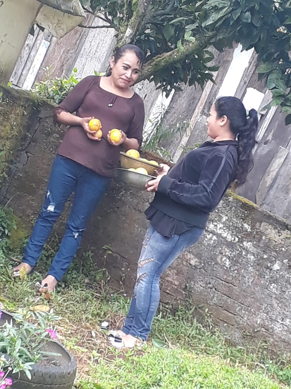 FINCA2
